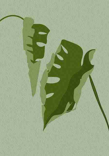 探花体验模式升级|拍摄节奏优化加入全新拍摄手法
