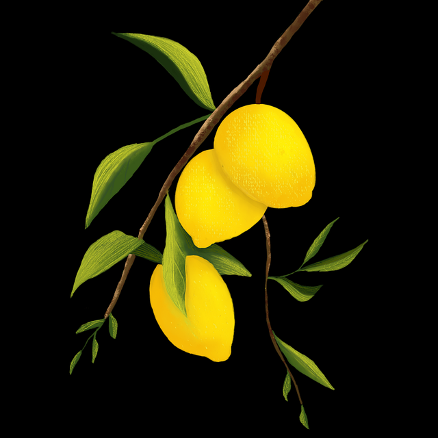 探花视频现场感体验提升研究｜角色代入拍摄方式沉浸感极强