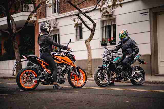 蘑菇影视官网产品风格全线调整｜站内热播趋势追踪设计逻辑解读