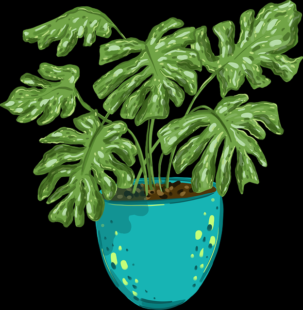 探花精选互动节目录上线｜行为语言同步结构场面真实不做作